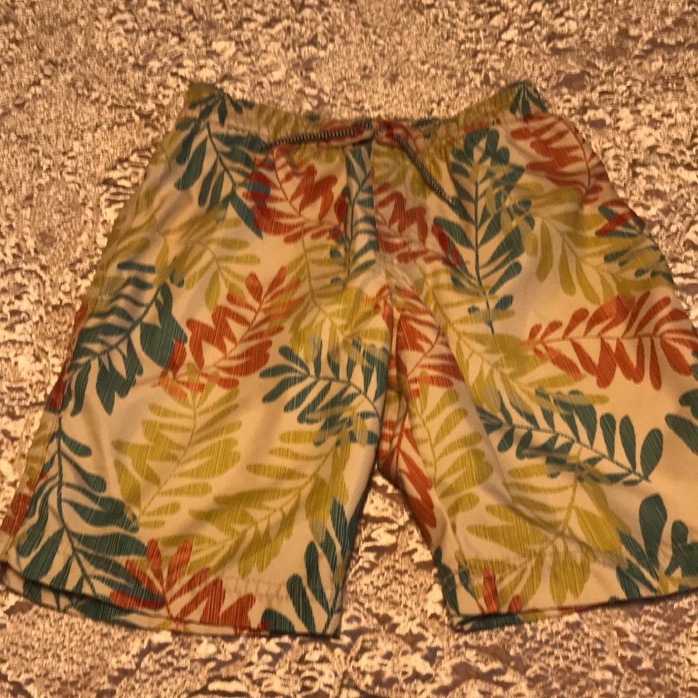 Tea Collection Swim Trunks